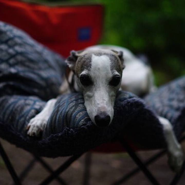 2c9e536b 96cd 4e2a ad72 ce991d25b249