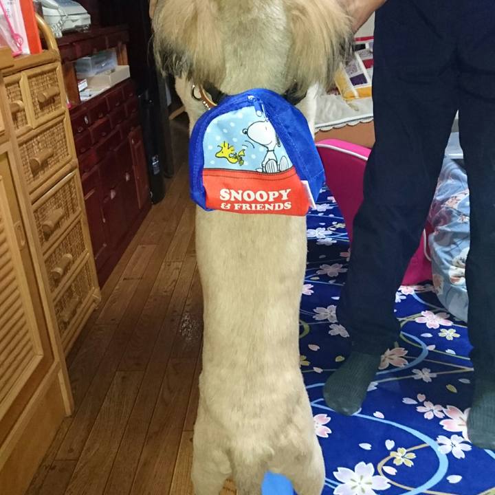 2c9e58b8 5ffb 4f9e 90d7 d609ea611ba3