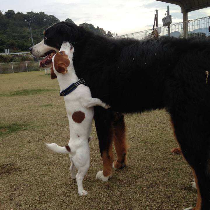 2c9e9ba2 ea48 49b3 a6d6 c402d8f44ba1