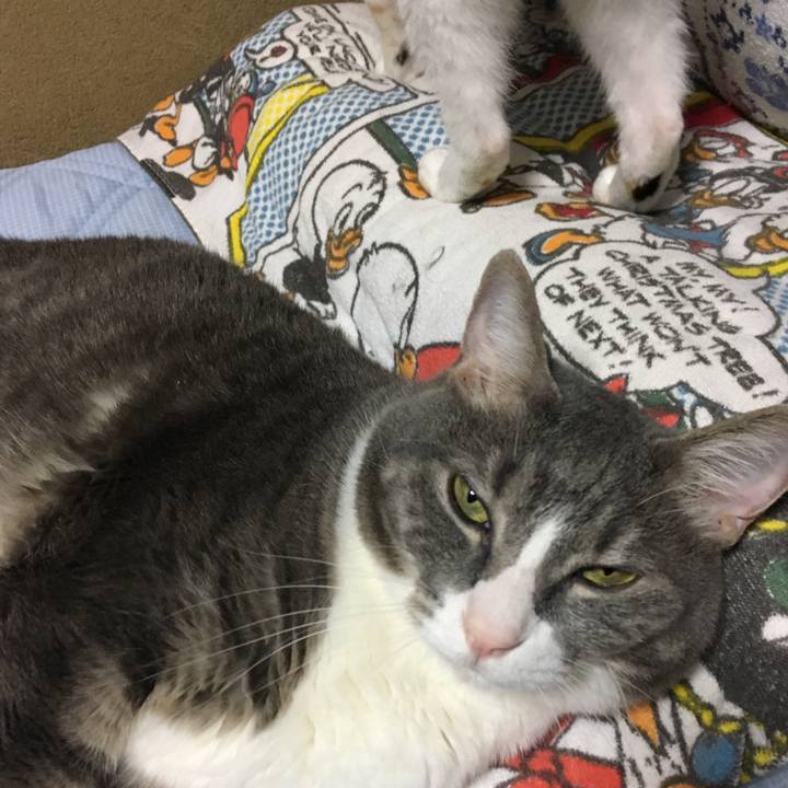 2c9ecaee 8c38 467c 8550 e09c103ddf36