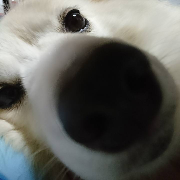 2c9ee36b 8632 4040 980c f45fa576eb7d