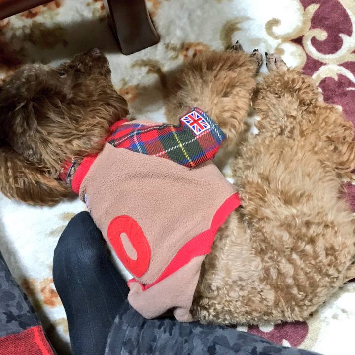 2c9f0c1b d187 4f5f 93a5 a2f77acdf970