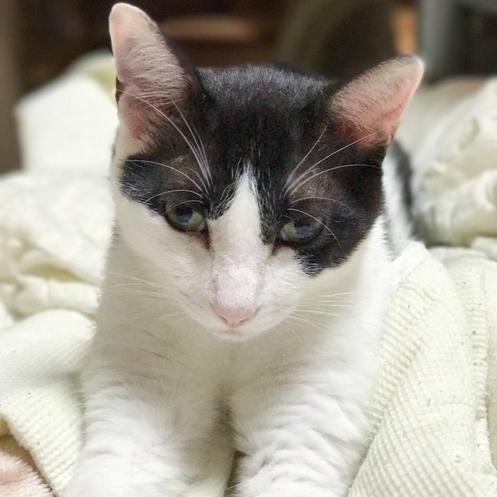 2c9f106c 1185 41bf 963e d3e47e685a2f