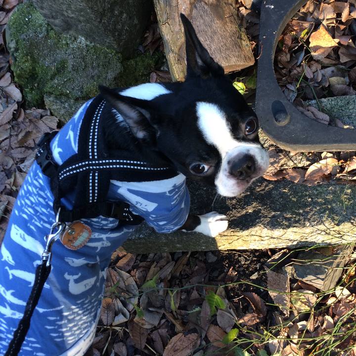 2c9f237c 51ab 47aa 8bc8 900fa16bd87c