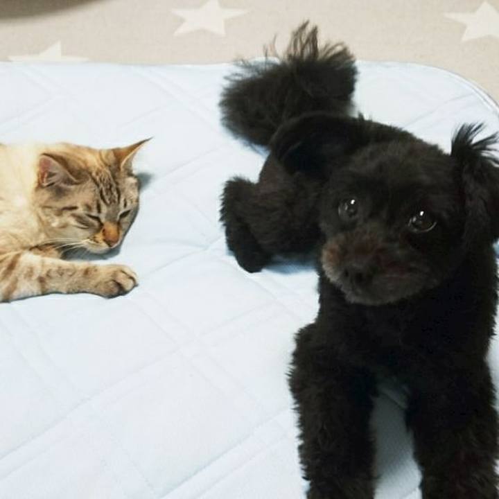 2c9f7dbe 6822 4aa4 9a87 de160e03b011