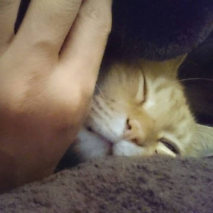 2c9f86fc 300c 4cb1 9d83 629fcdd2fc40