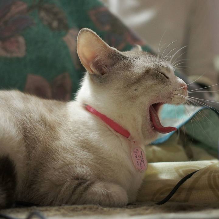 2c9f8db1 acac 4509 9775 6aaeee642cbb