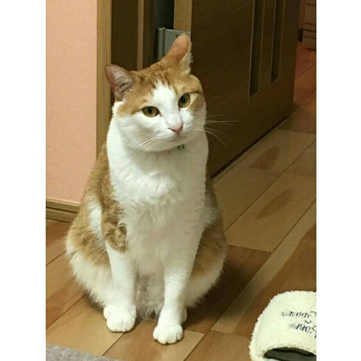 2c9fae01 61f2 4d5c 8d8d fbdf5372a9f7