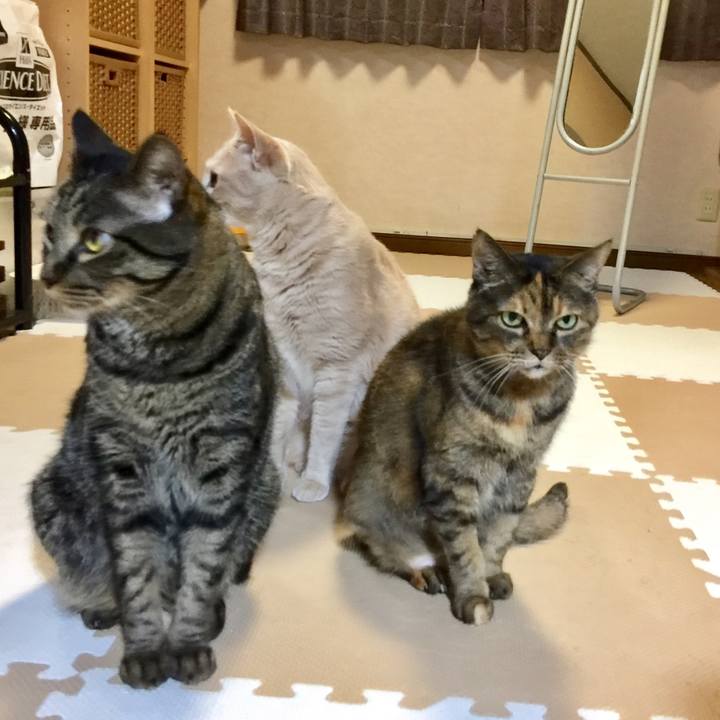 2ca00877 b85c 43b2 bb07 bf993346e3e2