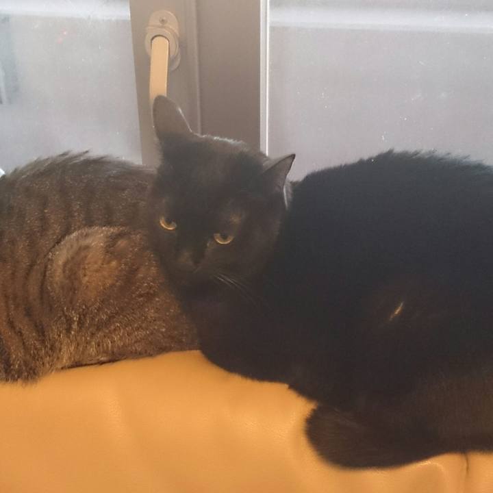 2ca12853 4656 4986 b5cc a8233e1277df