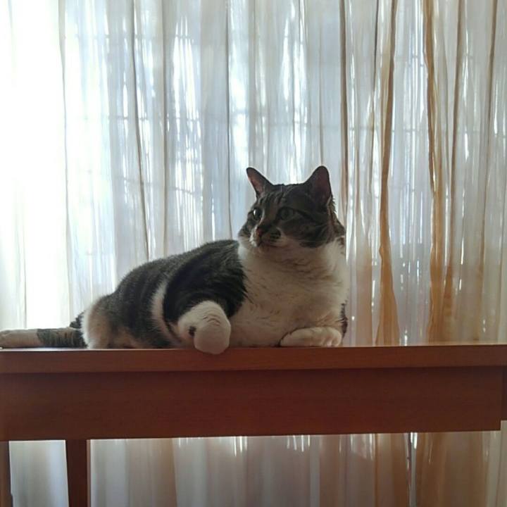 2ca17f2c 281d 4a13 9b8b 18b580f9e651