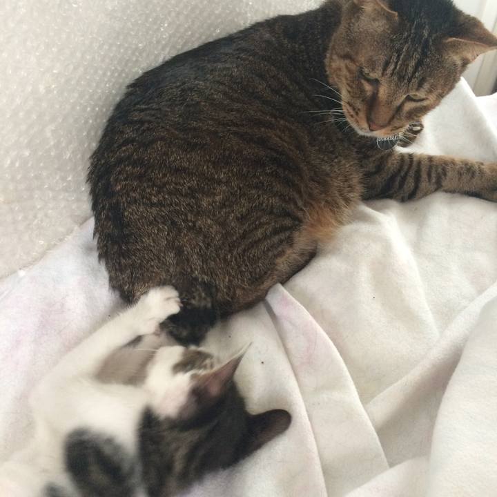 2ca1a32e 2660 4b79 8623 6a4d000a9402