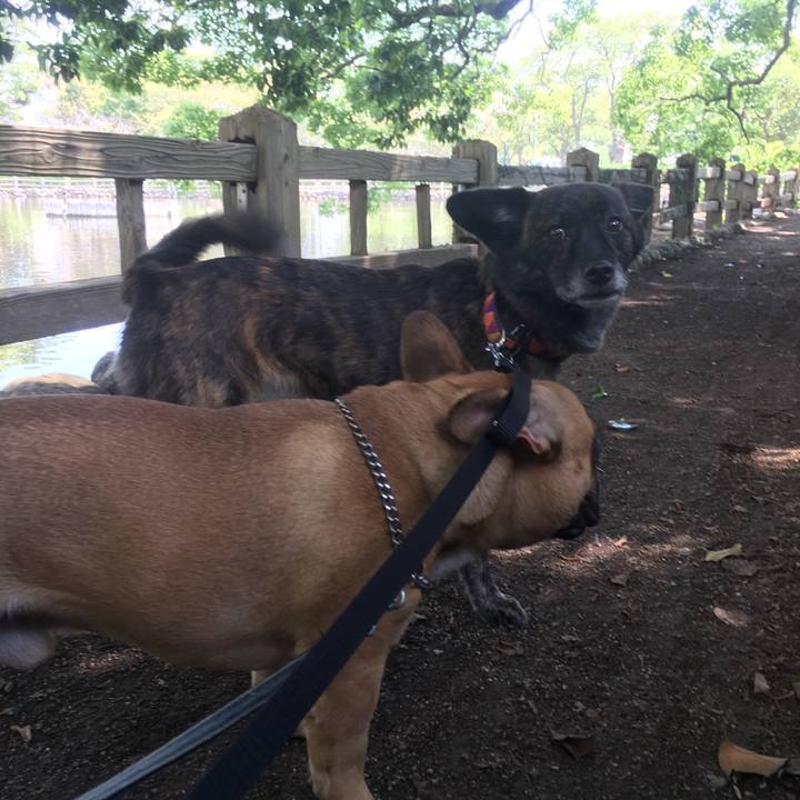 2ca1a613 3510 40d7 b6ff e55f24bb9f2e