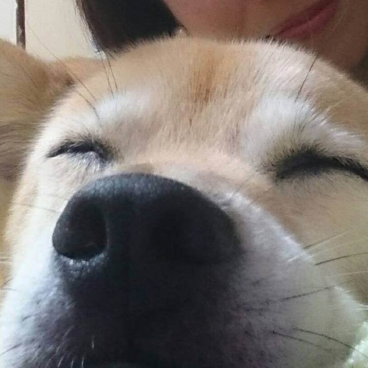 2ca1cd19 ef4a 42ec 8eb7 b439e52cab7b