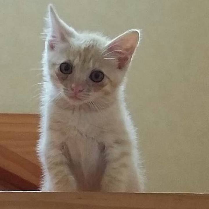 2ca23196 7b81 4cd8 8107 fc0eda6f8a73