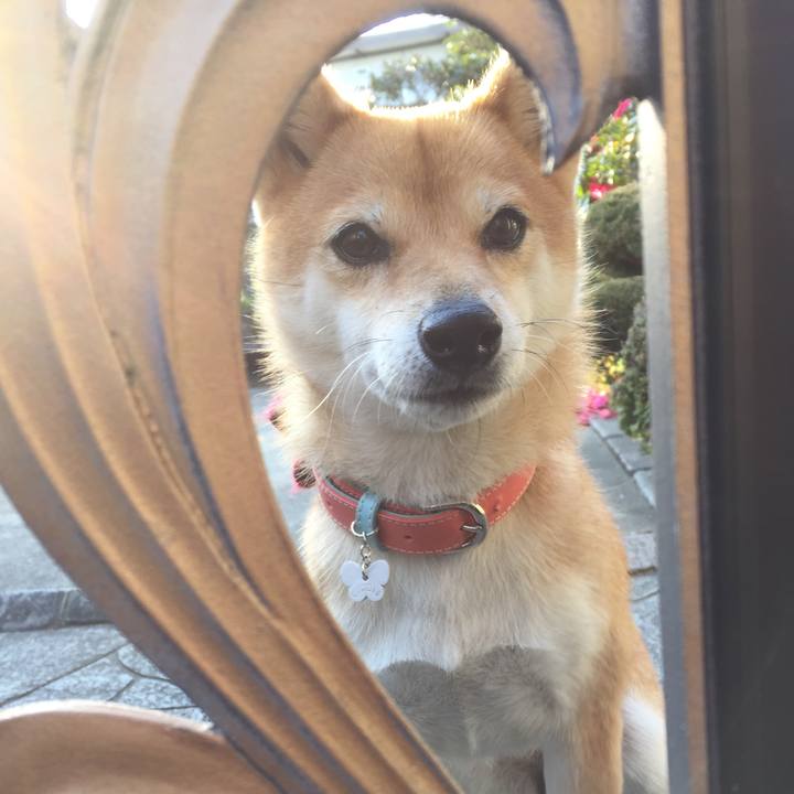 2ca29c9f 6207 45a7 8341 e03c6a145e7a