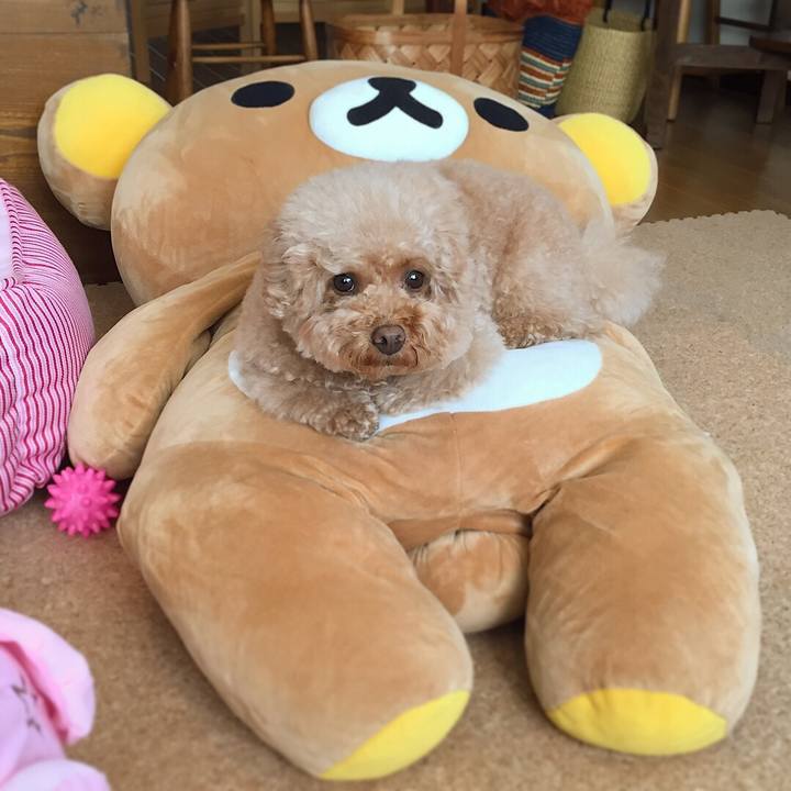 2ca31857 533e 4918 96d9 818f33351b5a