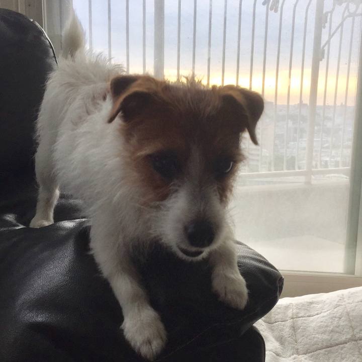 2ca35fb0 5f12 476c 82ee f5b1527dc1db