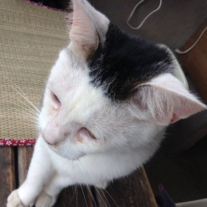 2ca36469 35f5 4495 aeb3 0e55059fed7b