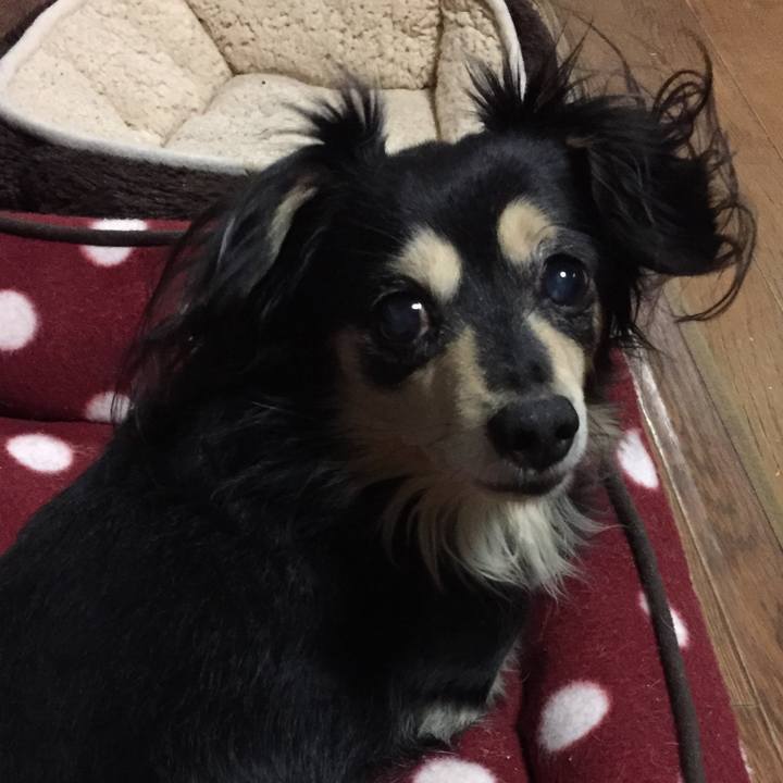 2ca49c7c 6c73 45b8 93ed 99d1e535709b