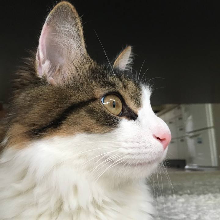 2ca49f6a 1a6c 4ef8 b0bc 1d27c7872ce9