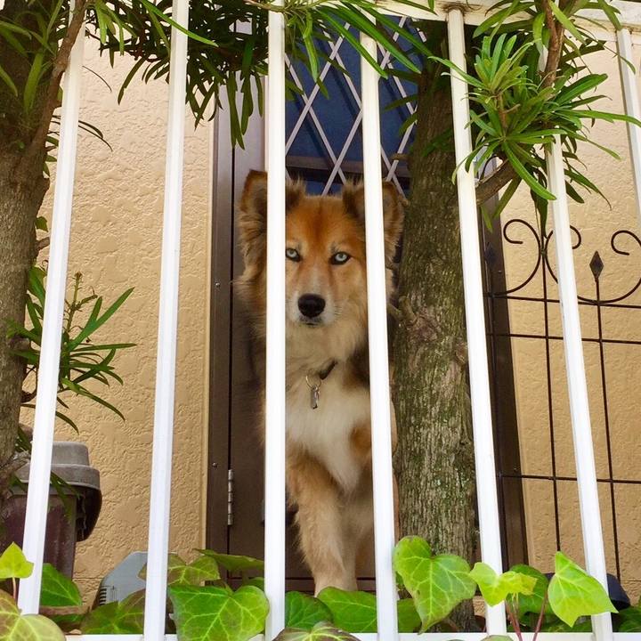 2ca4dda1 67e5 4a28 8c69 331d8bcd7a7d