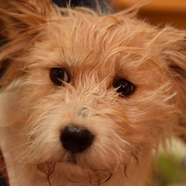 2ca5077b f3f7 48b8 b898 8c6b52657ca5