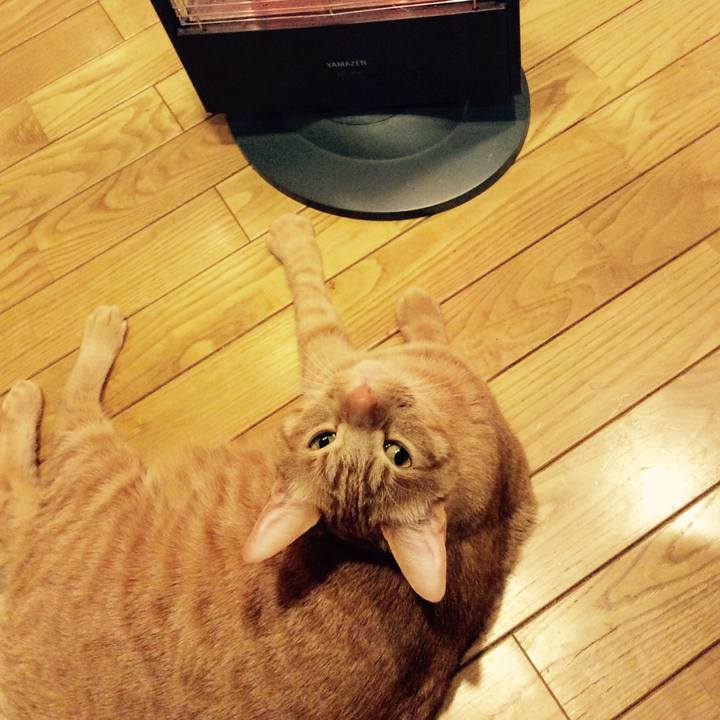 2ca553fe 0d39 4bdd a734 8b88d38ad71c