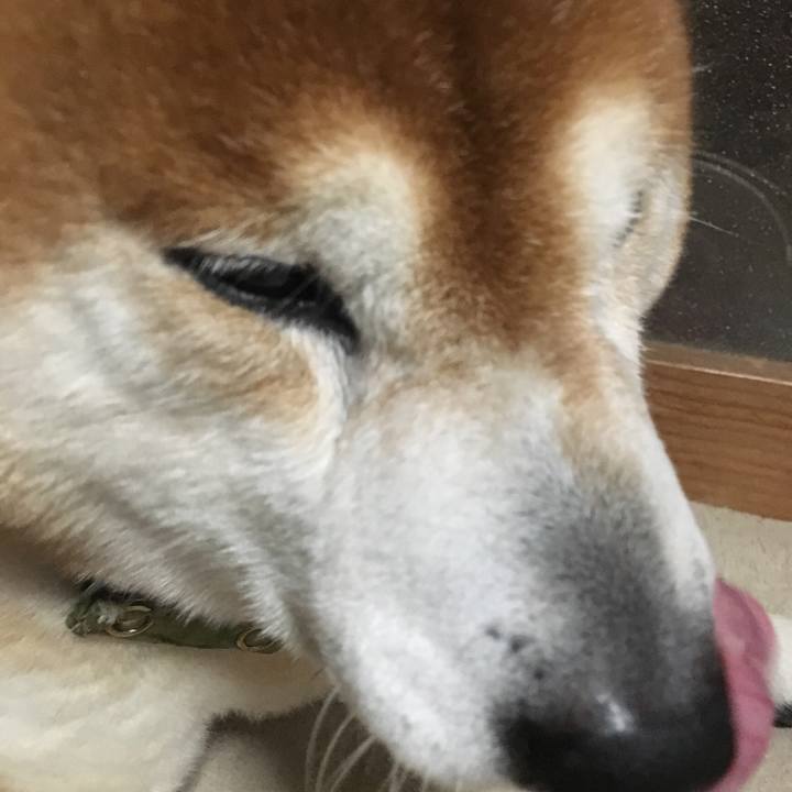 2ca5c5ee e423 4b9f 8b33 7eb5ed1bbe34