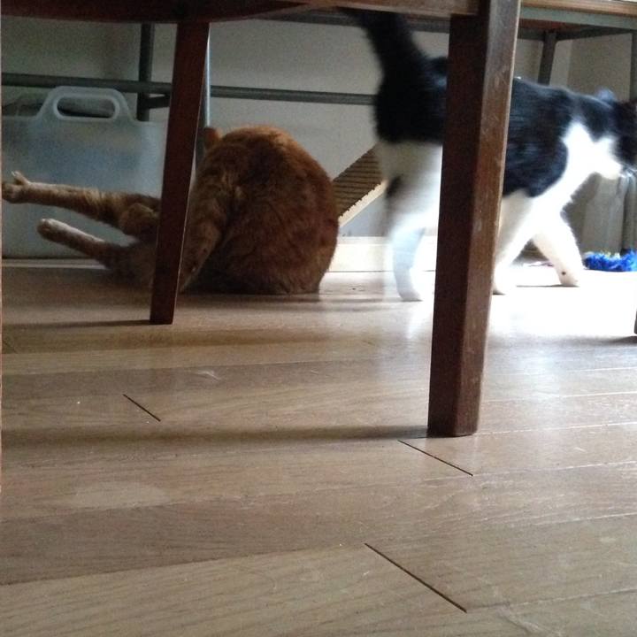 2ca5d013 2a36 4515 9612 e3f5c49df8ed