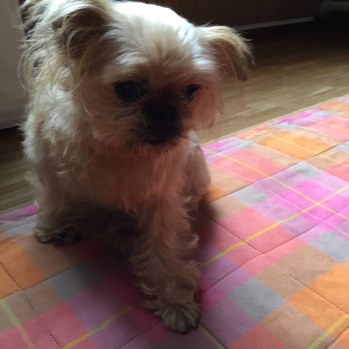 2ca6b068 07cc 4bf7 a721 f5dd46b7e27f