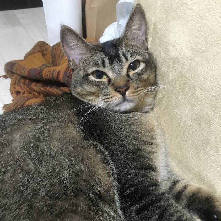 2ca6b264 8f29 4e7a a646 d4cfabee3a5b