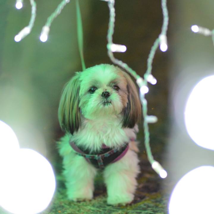 2ca6bac1 befc 4909 839a 2a72b1532b8a