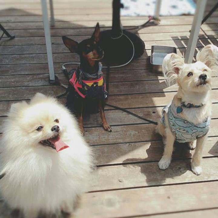 2ca6ea7e 3263 4836 88ff ecc2dc772bca