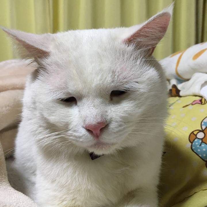 2ca75582 6e90 4b08 a596 6e6e889b2e42