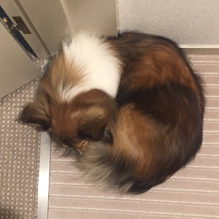 2ca7fa45 97e0 4d01 a00f c7d995a7644b