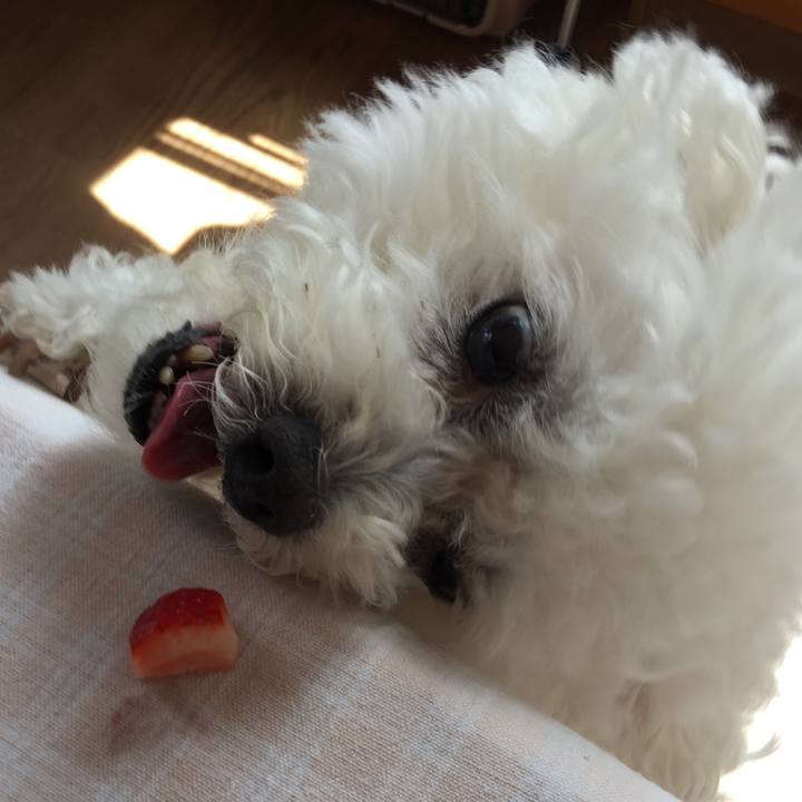 2ca84253 6e98 48d3 bc2f 776fcf027b39