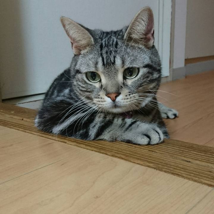 2ca8c7fb d76a 4123 918a bc4d954f4795