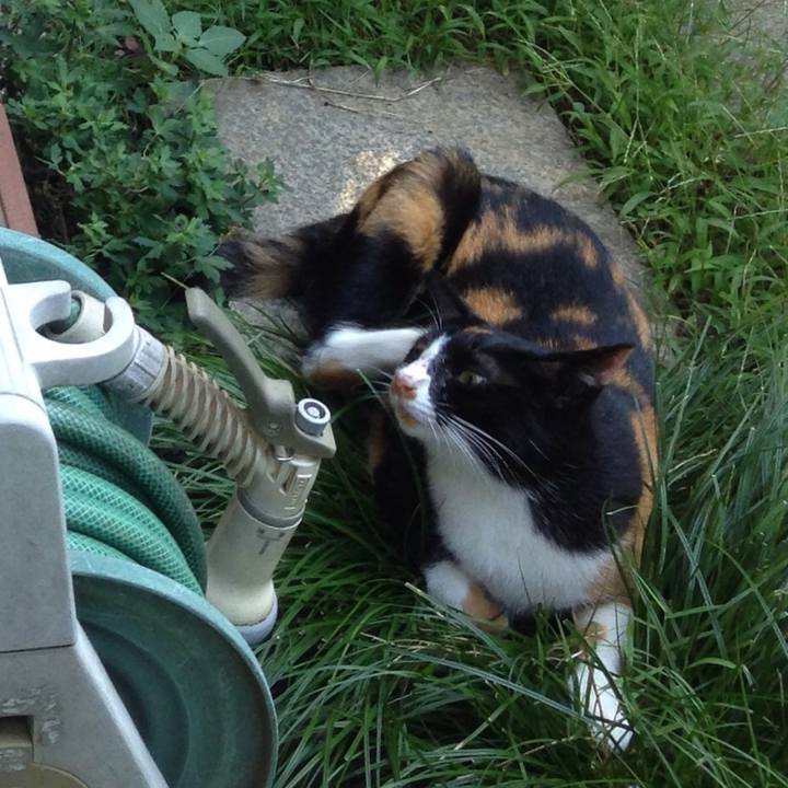 2ca8da5f b09a 493f bc44 d6bc0a6fea8c