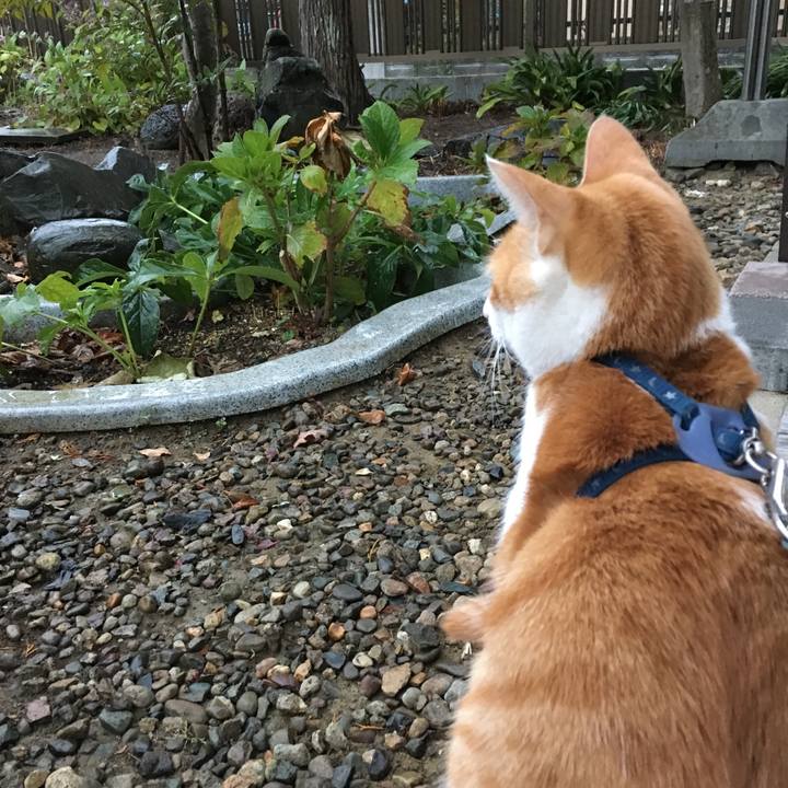 2ca96100 61d7 4c2e 828d fccea4fa06b2