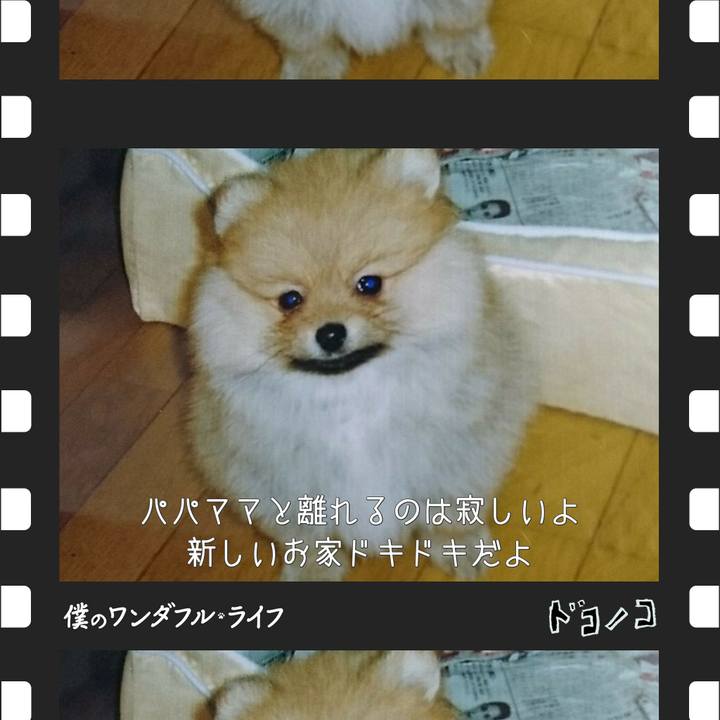 2ca98b2f fe36 436c bef6 376e9bcfe78c