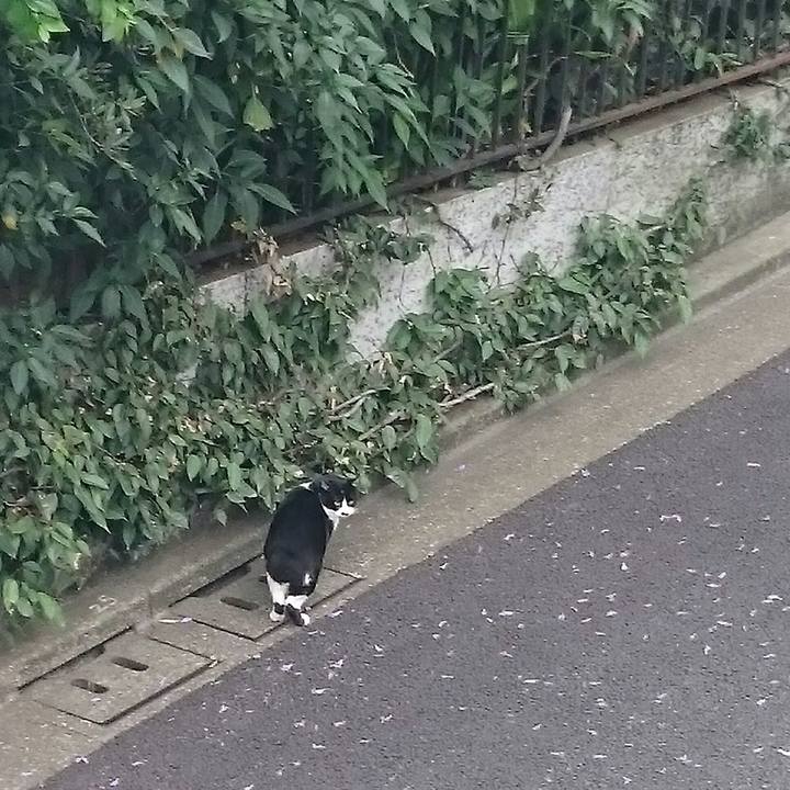 2cab0ddc 294e 41ad 80ed 4c806cf8ed8e