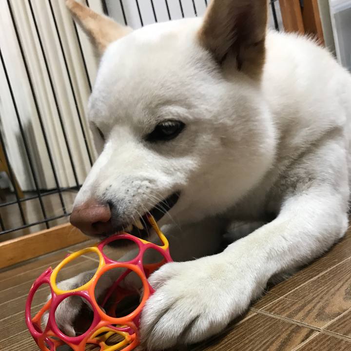 2cab2d5c 12b7 4f9b 862b 50a69a4419fc