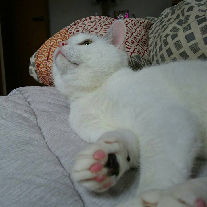 2cabdcf9 3d6b 449e 8e2c ea7034696367