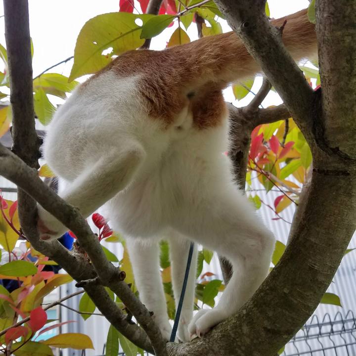 2cabe2c7 2988 4ab8 850f 2ec33992bd23