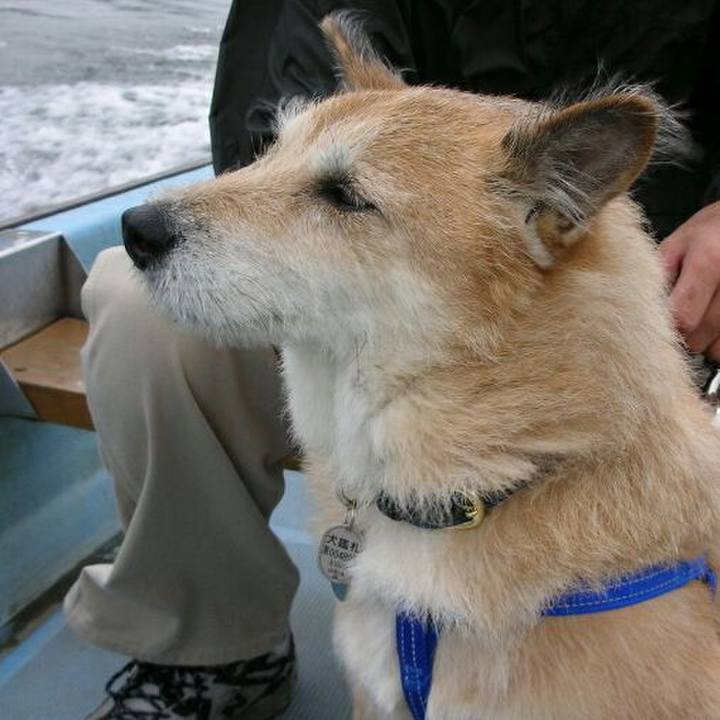 2cac0a45 aa5f 40ec 8d79 23a5f152e130