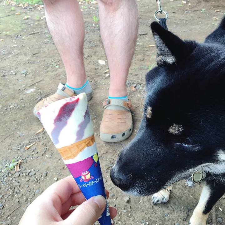 2cac8d40 0f6e 4064 9ee9 edcb8569c0fc