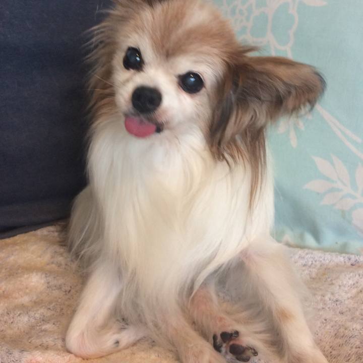 2cad3c6e 90b7 4538 b44e c75cbed6b457