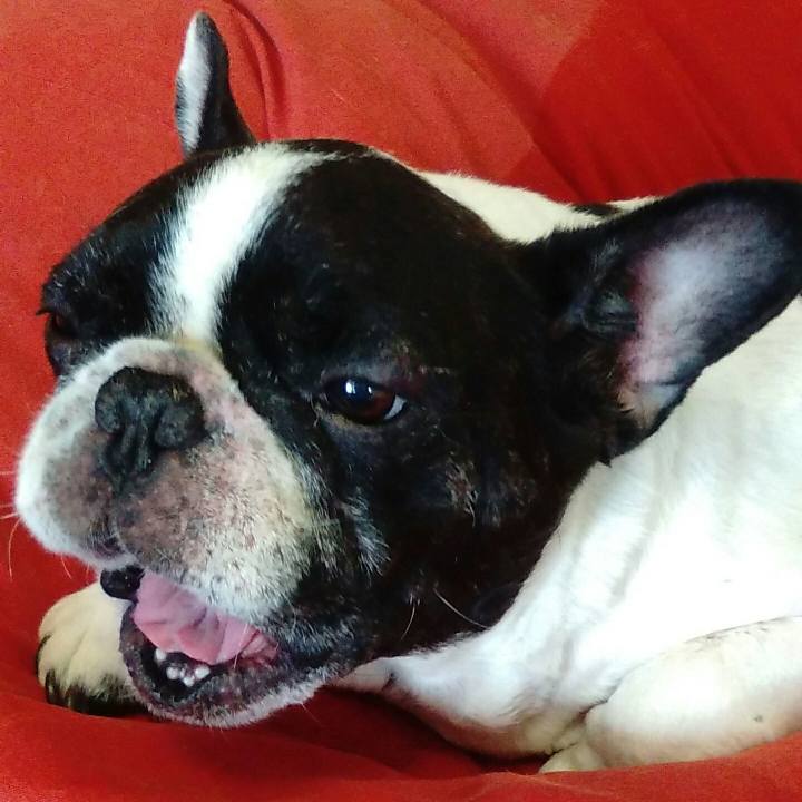 2cae17fc c8af 48be 8a9f 079e043d9d49