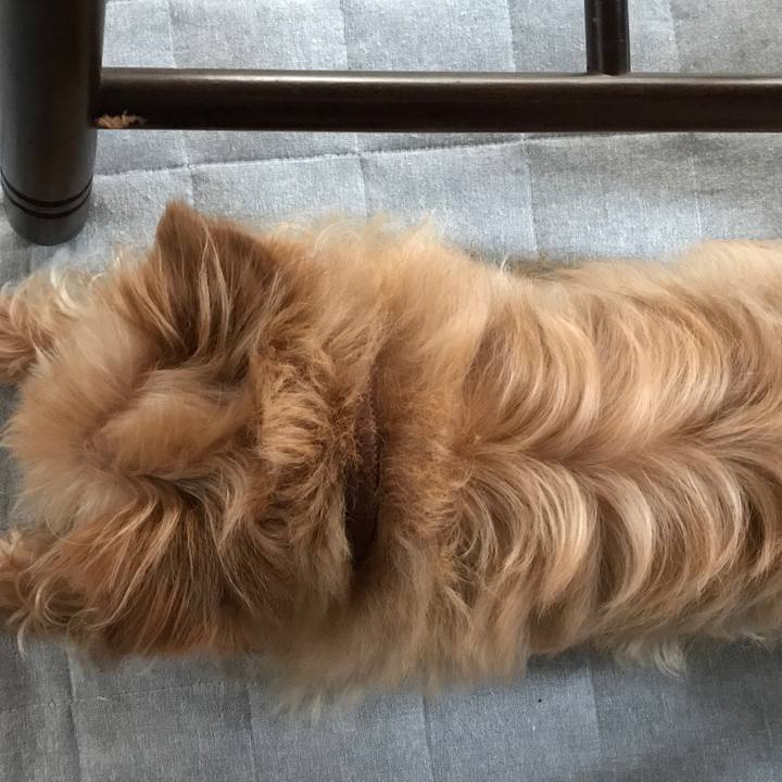 2cae276d 2bcc 49c4 9482 c5f98517fe29